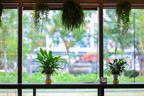 L'appli de rencontres qui met du piment en France en 2024