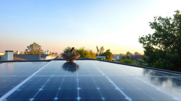 Réduire vos factures : astuces pour optimiser l'autoconsommation solaire